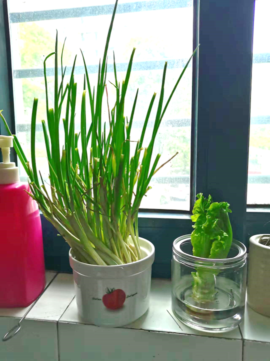 户型设计app_户型设计_户型设计装修效果图