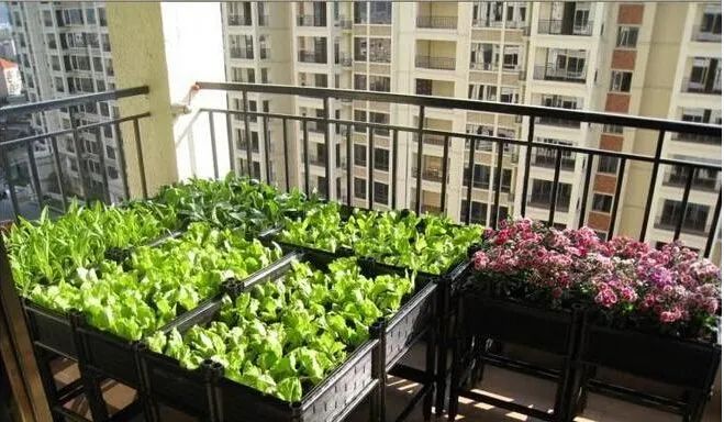 户型设计装修效果图_户型设计_户型设计app