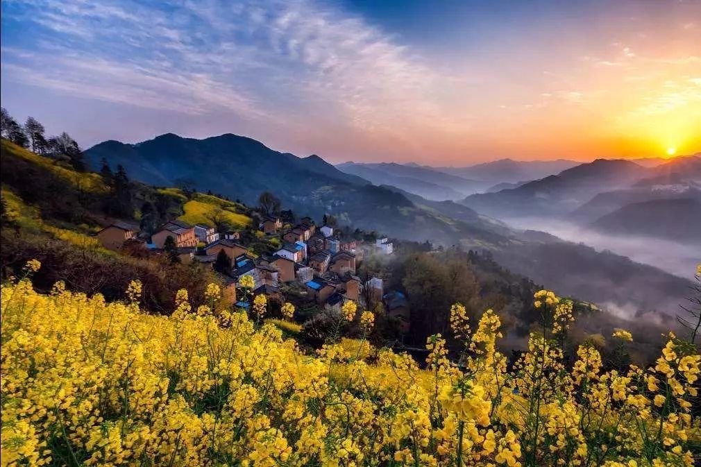 婺源生态旅游_婺源生态保护_江西婺原生态旅游？