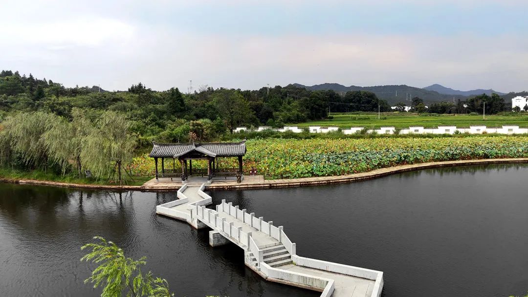 江西婺原生态旅游？_婺源生态旅游_婺源生态保护
