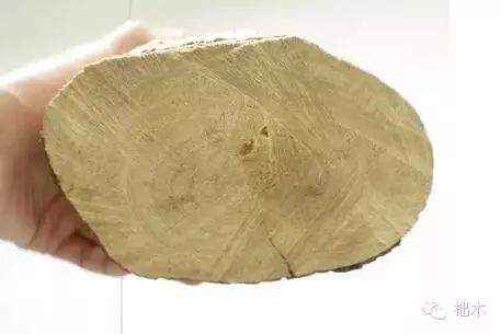 实木家具选哪种木材好?(图4) 家具水曲柳胡桃木柚木哪个好_家具水曲柳面板刷漆效果_水曲柳家具好不好