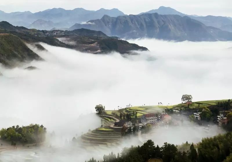 江西旅游婺源_江西婺原生态旅游？_婺源生态旅游