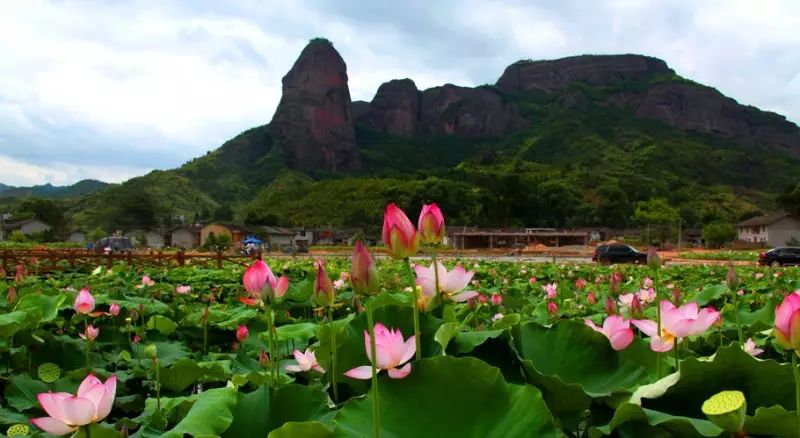 江西婺原生态旅游？_婺源生态旅游_江西旅游婺源