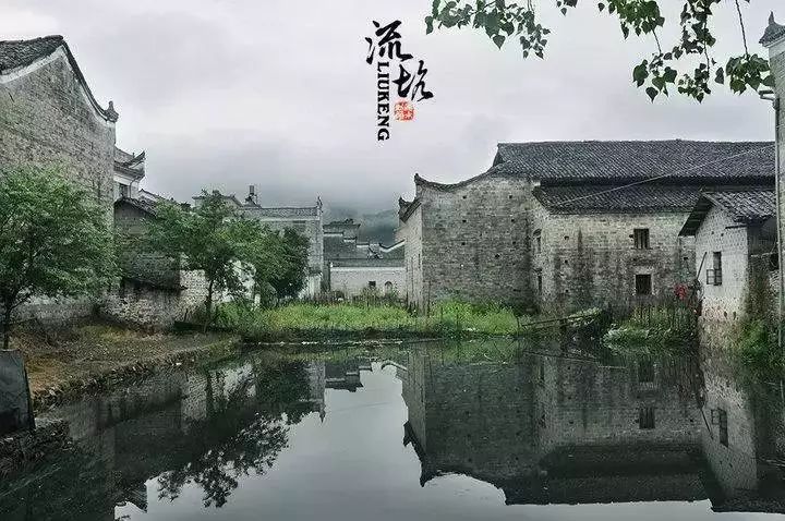 江西旅游婺源_婺源生态旅游_江西婺原生态旅游？