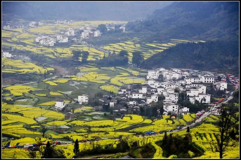 江西旅游婺源_婺源生态旅游_江西婺原生态旅游？