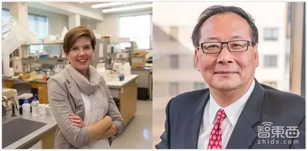 高通新技术电动汽车行驶中可充电 共享洗衣机也来了(图23) 乐视超级汽车高速充_乐视超级汽车官网_乐视超级快充