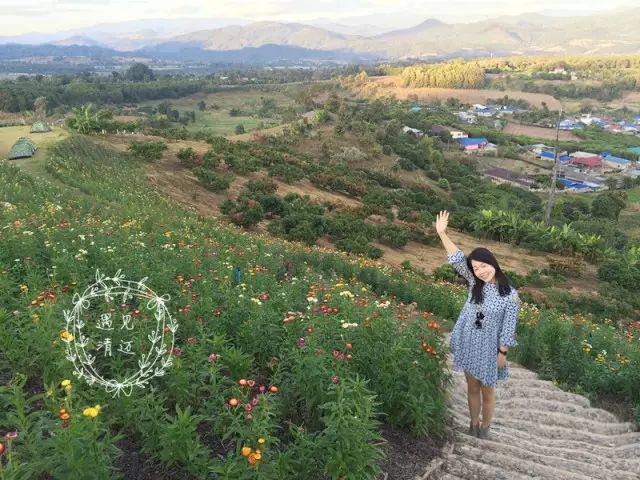 亚航旅游保险要选么_旅行攻略亚航_旅行攻略亚航怎么买票