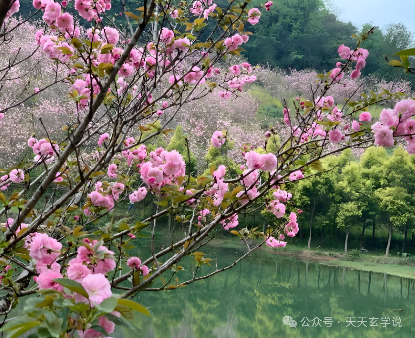 2025年3月4月黄道吉日大全一文讲明白,2025农历二月三月老黄历好日子一览表(最新完整版)(图3) 2025搬家黄道吉日吉时_搬家吉日黄历2020_搬家黄道吉时吉日2025年