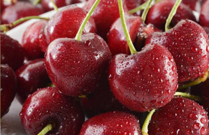 猎人紫色幻化_美食猎人紫色的猪_魔兽世界猎人紫色宠物