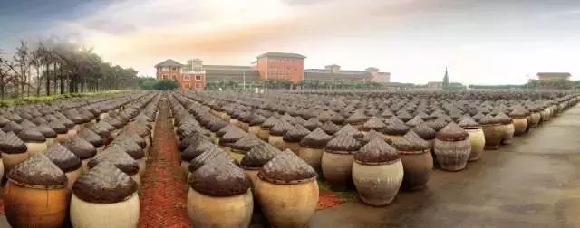 美食猎人紫色的猪_魔兽世界猎人紫色宠物_猎人紫色幻化