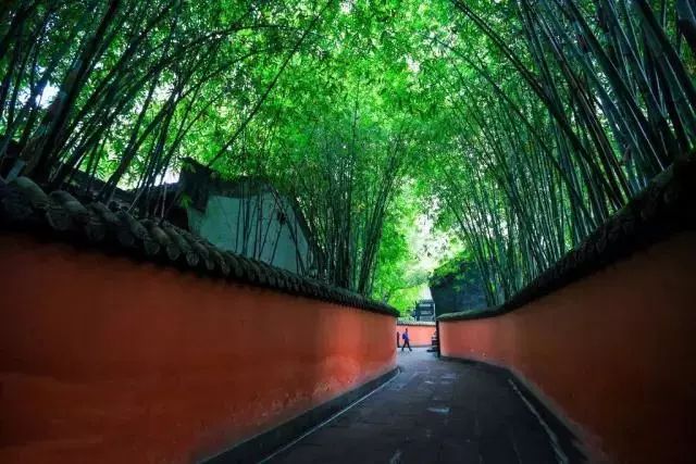 成都老李烧烤_烧烤摊大爷_成都李大爷烧烤