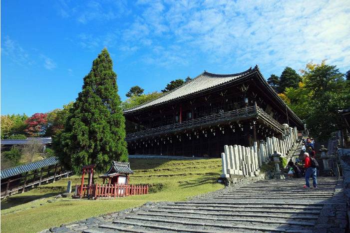 红叶伞官网_红叶伞修理_红叶伞多少钱一把