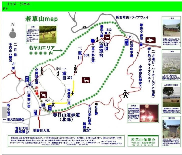 红叶伞官网_红叶伞修理_红叶伞多少钱一把
