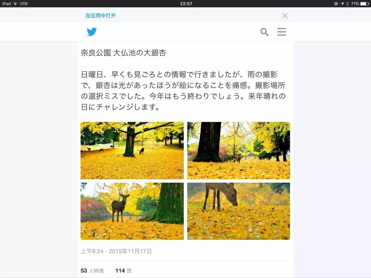 红叶伞官网_红叶伞多少钱一把_红叶伞修理