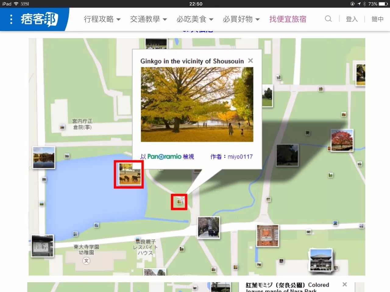 红叶伞修理_红叶伞多少钱一把_红叶伞官网