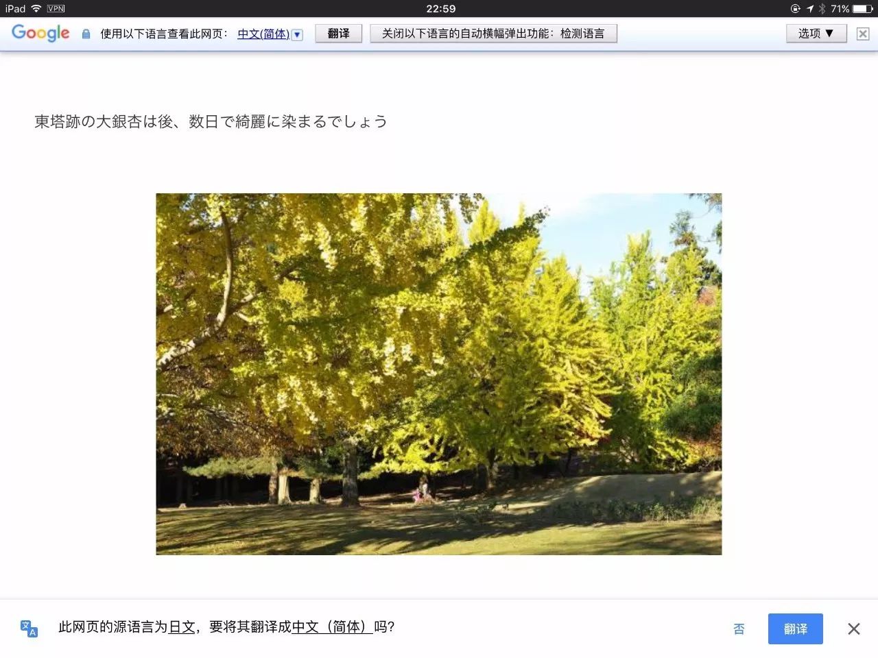 红叶伞官网_红叶伞多少钱一把_红叶伞修理