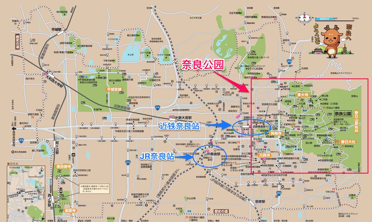 红叶伞官网_红叶伞多少钱一把_红叶伞修理