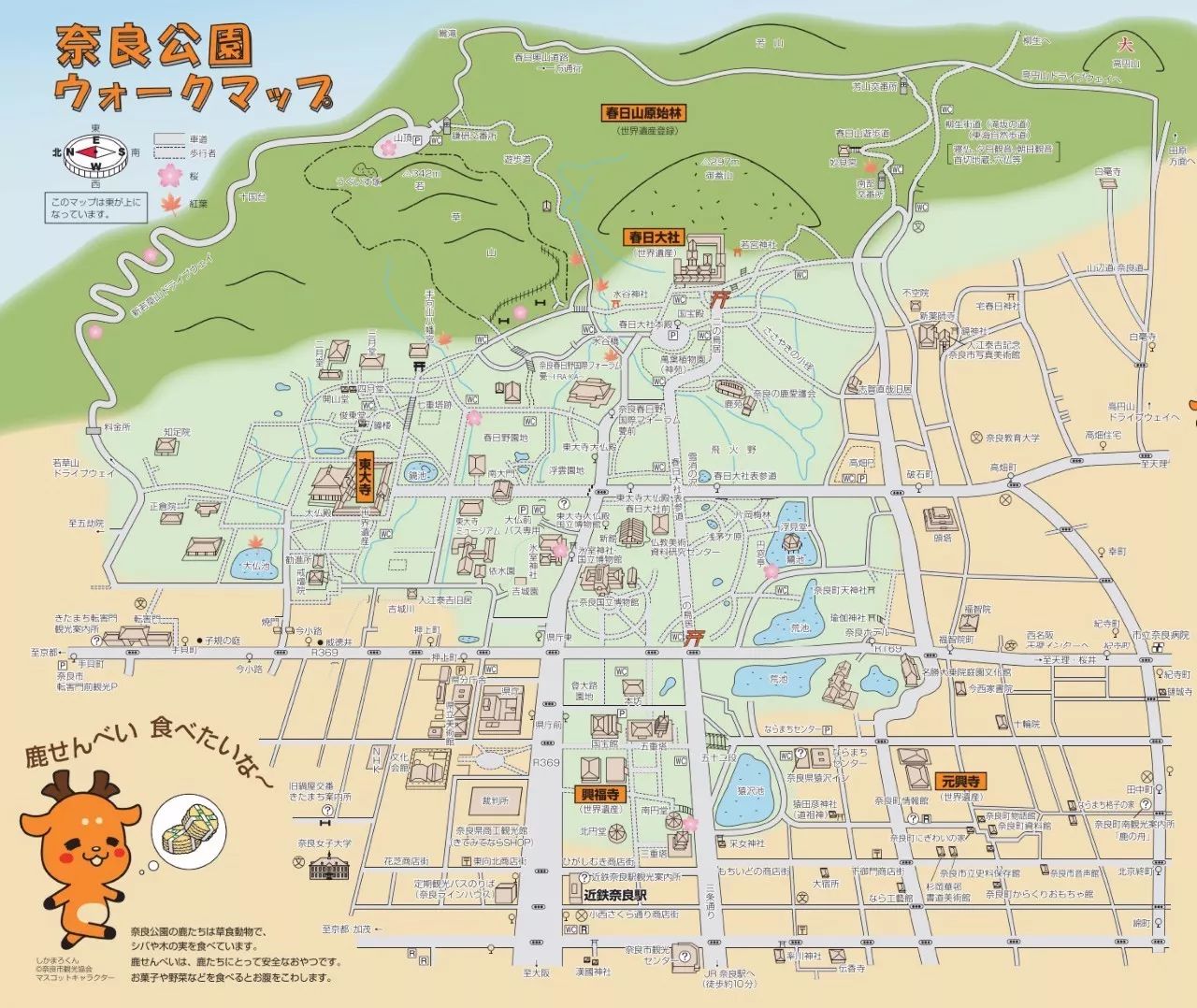 红叶伞官网_红叶伞修理_红叶伞多少钱一把
