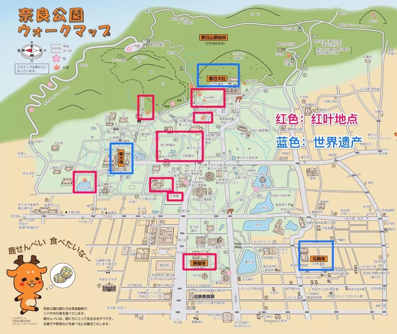 红叶伞修理_红叶伞官网_红叶伞多少钱一把