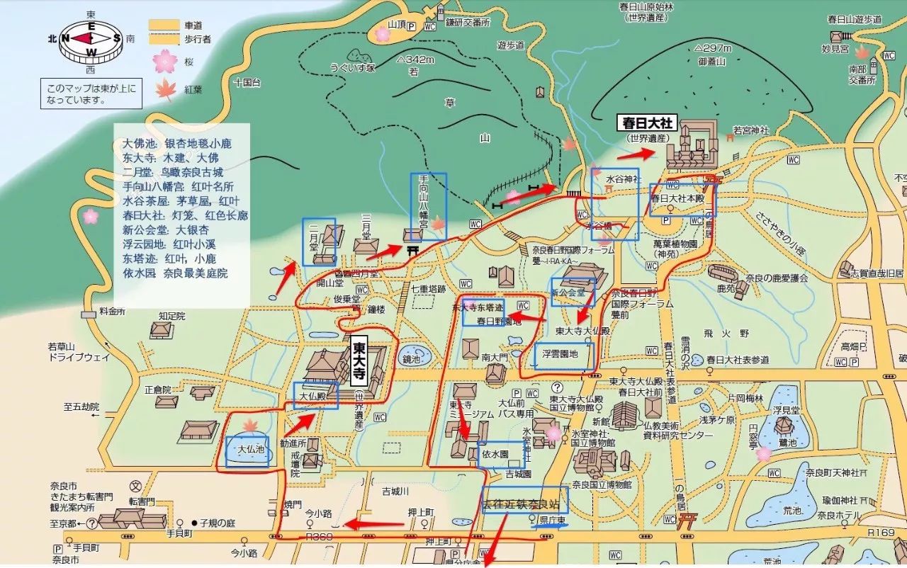 红叶伞修理_红叶伞官网_红叶伞多少钱一把