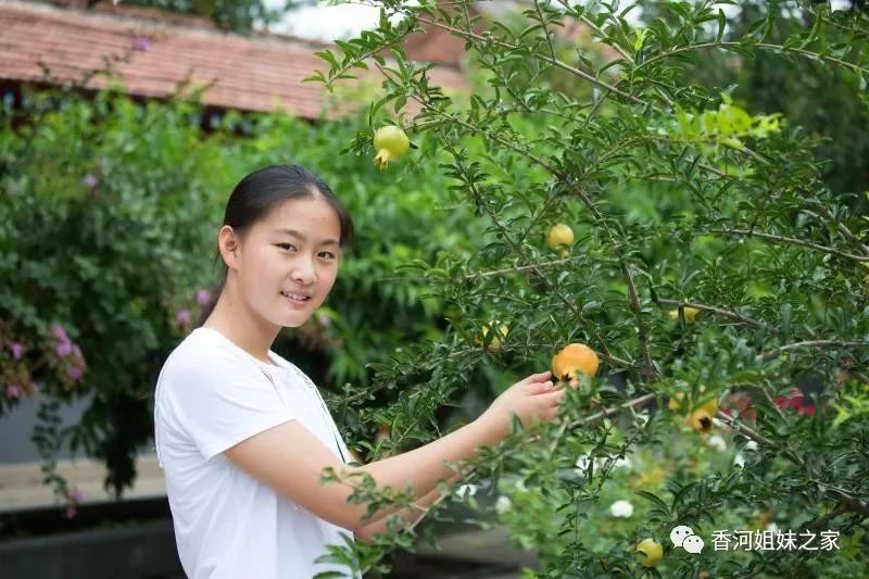 接力传递!香河县妇联“争创美丽庭院·建设幸福家园”倡议书【她关注】(图8) 扮靓美丽家居:门窗装饰_家居装修门窗_家居装饰美丽门窗扮靓图片