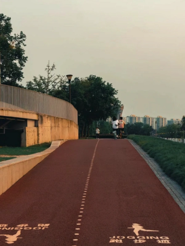 自行车 去西藏 推荐_自行车西藏推荐去哪里买_去西藏的自行车