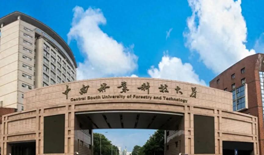 中南科技大学是985吗_中南大学科技大学_中南科技大学