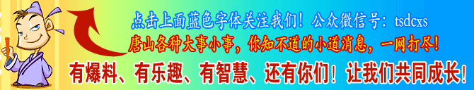 唐山违章车辆查询系统_唐山交通网车辆违章查询_唐山违章查询车辆交通网站