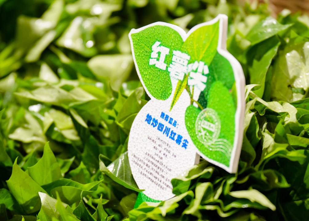 百年华兴 | 美食文化如盛放百花,个比个娇艳er!吃货党必来这条街!(图13) 千锅鸭头是哪个菜系_鸭头锅配菜都有什么_鸭头锅的做法