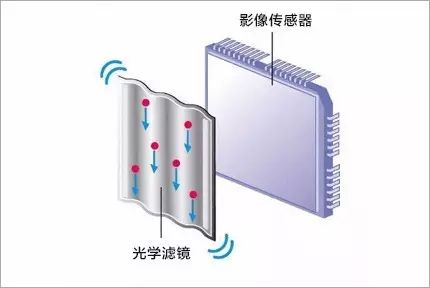尼康发布DX格式数码单反相机D5600|那天影像(图11) 图片