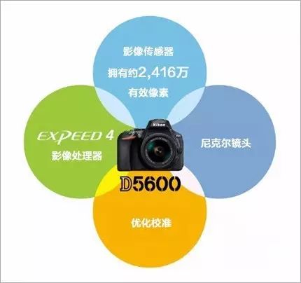 尼康发布DX格式数码单反相机D5600|那天影像(图5) 图片