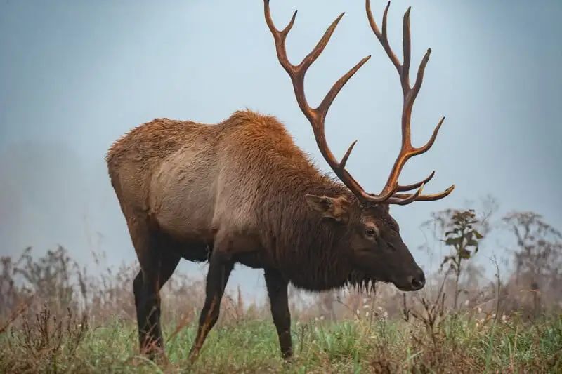 数码相机的曝光_数码相机曝光度设置在哪_数码相机的曝光模式盘的模式