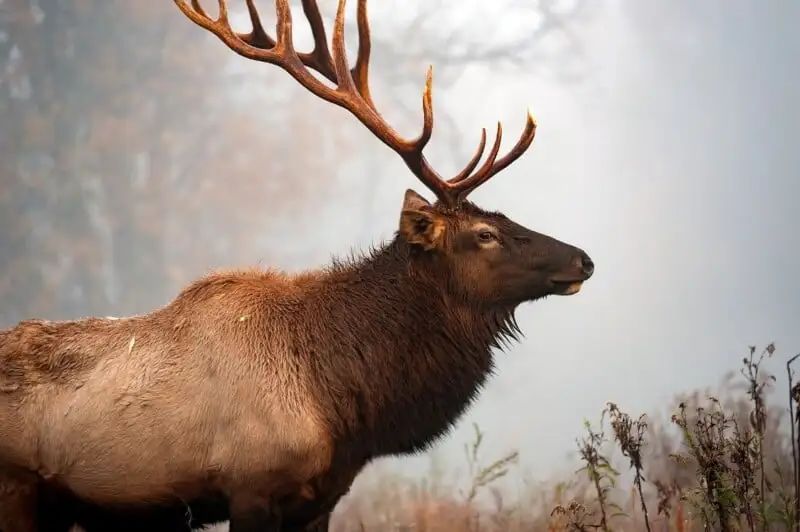 数码相机曝光度设置在哪_数码相机的曝光模式盘的模式_数码相机的曝光