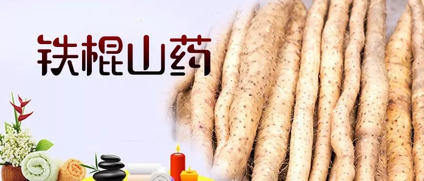 铁棍山药的十大功效(图2) 山药菜_菜山药的功效与作用_山药菜的功效