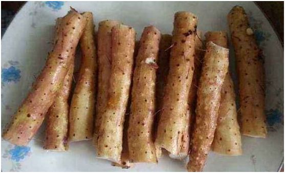 铁棍山药的十大功效(图5) 菜山药的功效与作用_山药菜的功效_山药菜