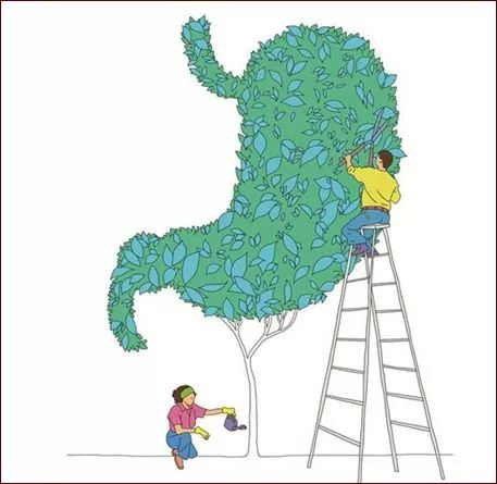 铁棍山药的十大功效(图6) 山药菜的功效_菜山药的功效与作用_山药菜