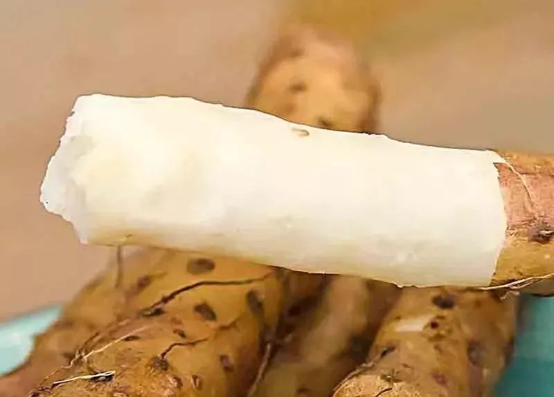 真正的铁棍山药,有这十大功效(图10) 山药菜功效作用与主治_山药菜_菜山药的功效与作用