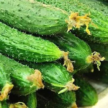 【每日一菜】山药,秋天最佳的进补食物!这样吃更营养~(图7) 菜山药的功效与作用_山药菜_山药菜功效作用与禁忌