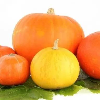 【每日一菜】山药,秋天最佳的进补食物!这样吃更营养~(图8) 菜山药的功效与作用_山药菜_山药菜功效作用与禁忌