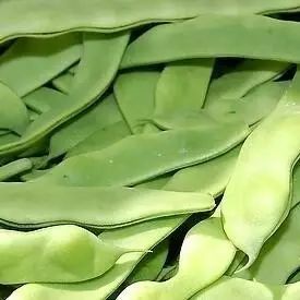 【每日一菜】山药,秋天最佳的进补食物!这样吃更营养~(图11) 山药菜功效作用与禁忌_菜山药的功效与作用_山药菜