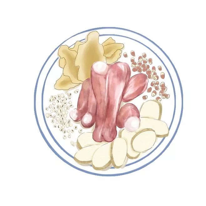 它的补肾效果比山药还强(图3) 山药菜功效作用与禁忌_山药菜功效作用是什么_菜山药的功效与作用