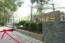 深国交入学考交通、周边全攻略(图10) 西丽湖南大碗菜_西丽湖南大碗菜_西丽湖南大碗菜