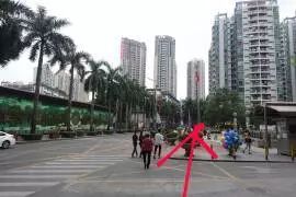 深国交入学考交通、周边全攻略(图18) 西丽湖南大碗菜_西丽湖南大碗菜_西丽湖南大碗菜