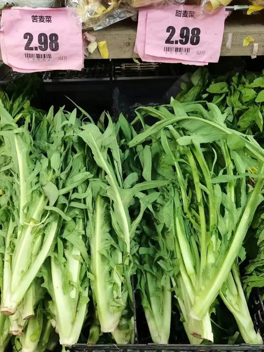 苦菜、苦苣菜、苦荬菜,还有苦麻菜、曲麻菜,你能分得清?(图25) 苦荬菜_苦荬菜种植技术_黄鹌菜和苦荬菜怎么分