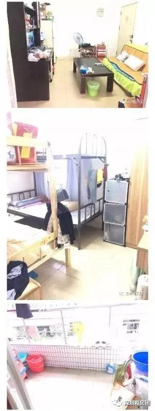 深圳租房【南山4则】南山地铁H口 福海苑小区 大主卧出租2600、小主卧出租2200、坐北朝南,采光好,空间大,本月随时可以入住(图20) 西丽湖南大碗菜_西丽湖南大碗菜_西丽湖南大碗菜