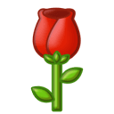 美团丨外卖团购特价美食酒店电影入口,领取攻略指南(图3) 花朵