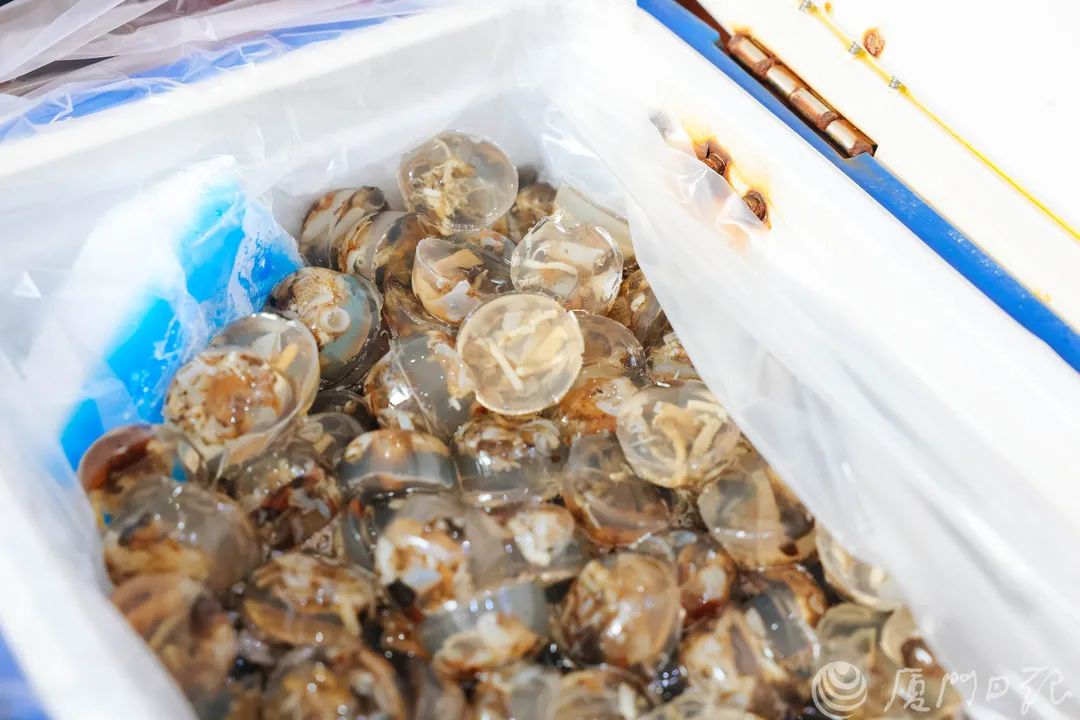 5年新开2000家!厦门街头这种店又火了……(图9) 卤味成本价大概多少_做卤味生意摊成本多少_卤味店成本