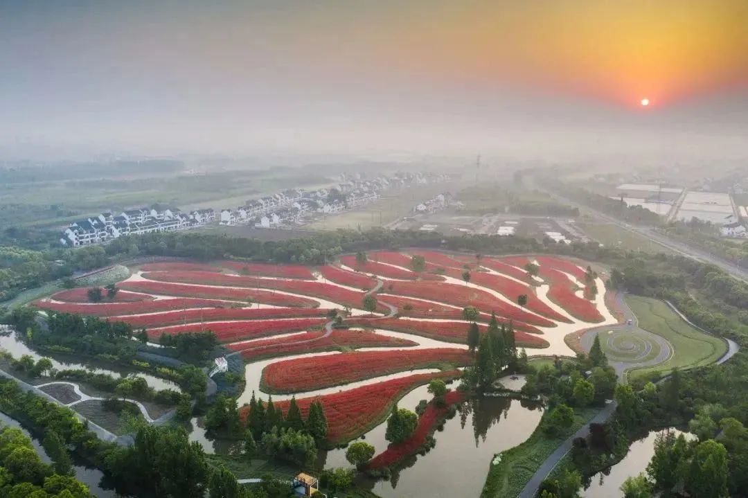 2023金山购物节要来啦!大家准备好了吗?(图8) 图片