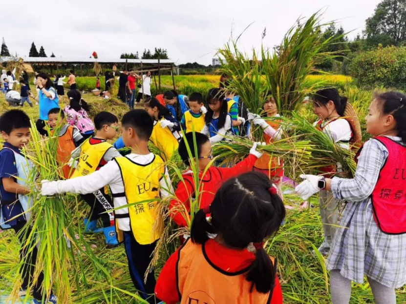 山阳田园,田园综合体的上海湾区场景(图15) 山阳田园,田园综合体的上海湾区场景