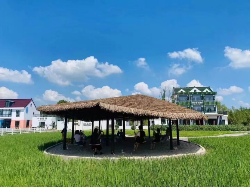 山阳田园,田园综合体的上海湾区场景(图4) 山阳田园,田园综合体的上海湾区场景